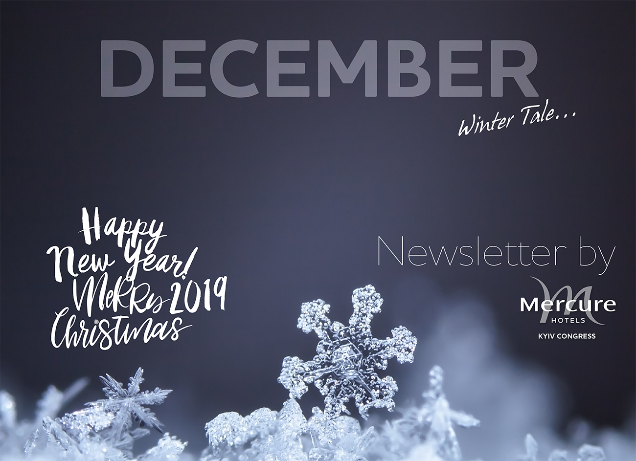 Предлагаем вашему вниманию Newsletter на декабрь
